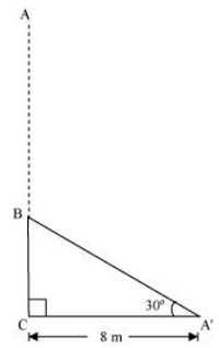 chapter 9 -Some Applications of Trigonometry Exercise 9.1/image007.png