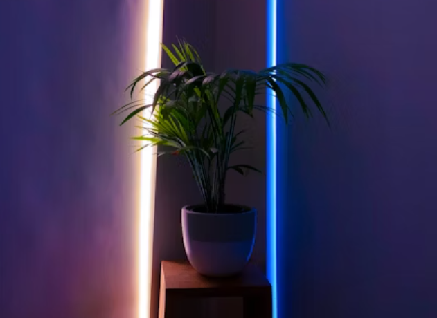 感應燈管