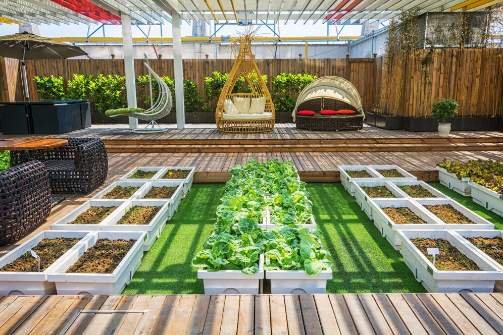 garden bed of plants outside