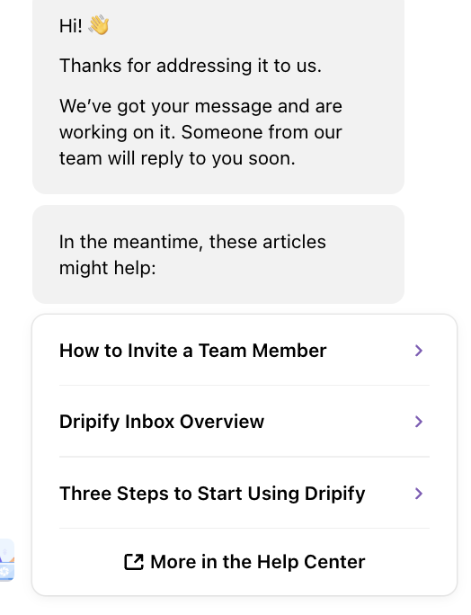 A sample Dripify support ticket chat.