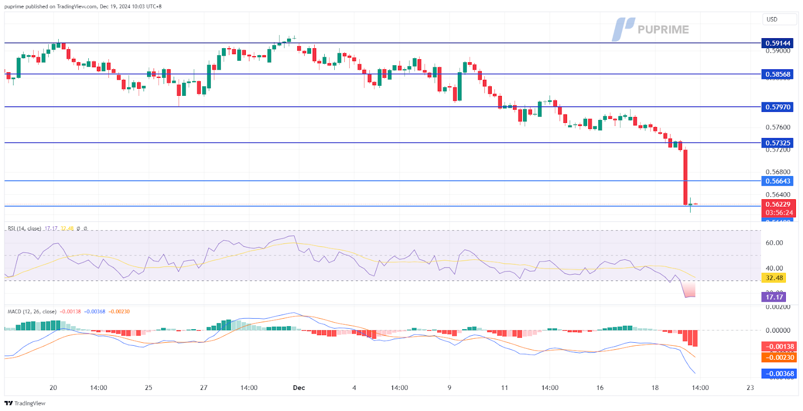 NZD/USD 19122024