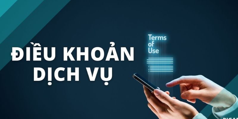 Điều kiện trong sử dụng dịch vụ giải trí