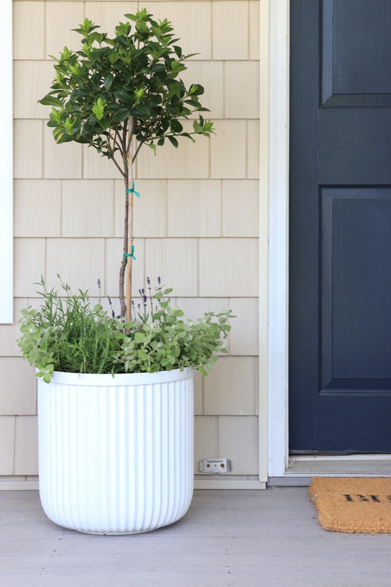 Minimalist Front Porch Ideas