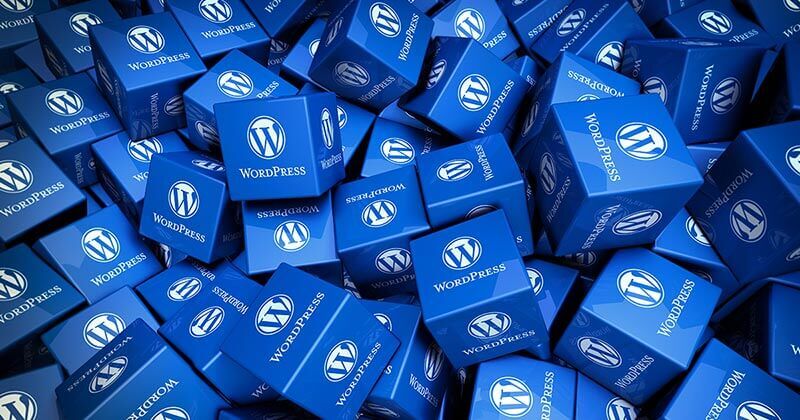 Do WordPress Tags Boost Your Social Media Engagement?
