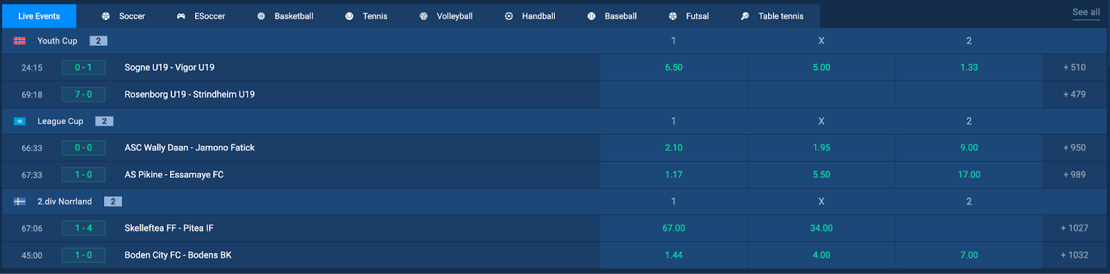 GoPlay365 Sportsbook Available Markets
