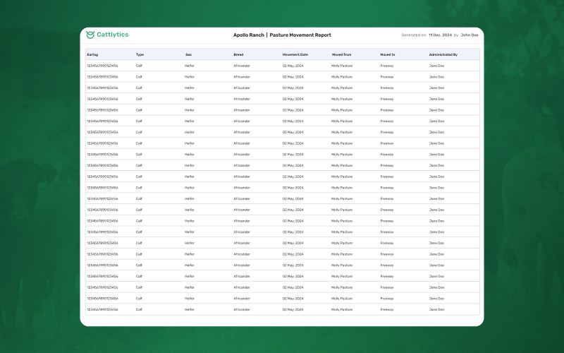 Smarter, Cleaner Reports for PDF & Excel