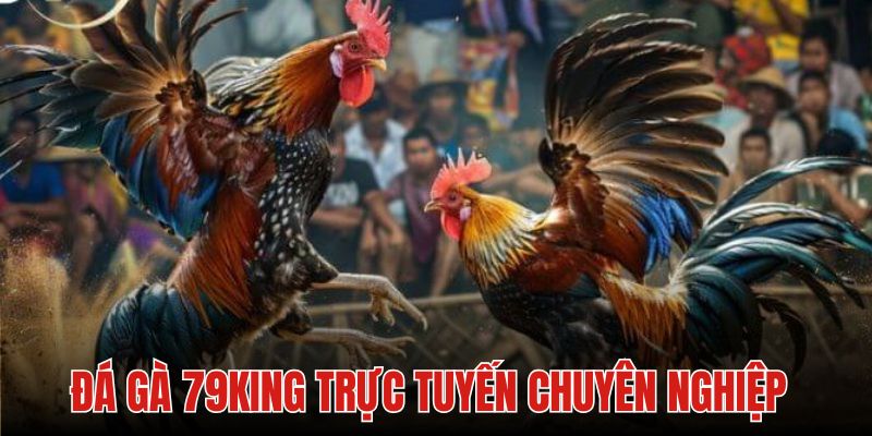 Chọn trận đấu yêu thích để xuống tiền cược