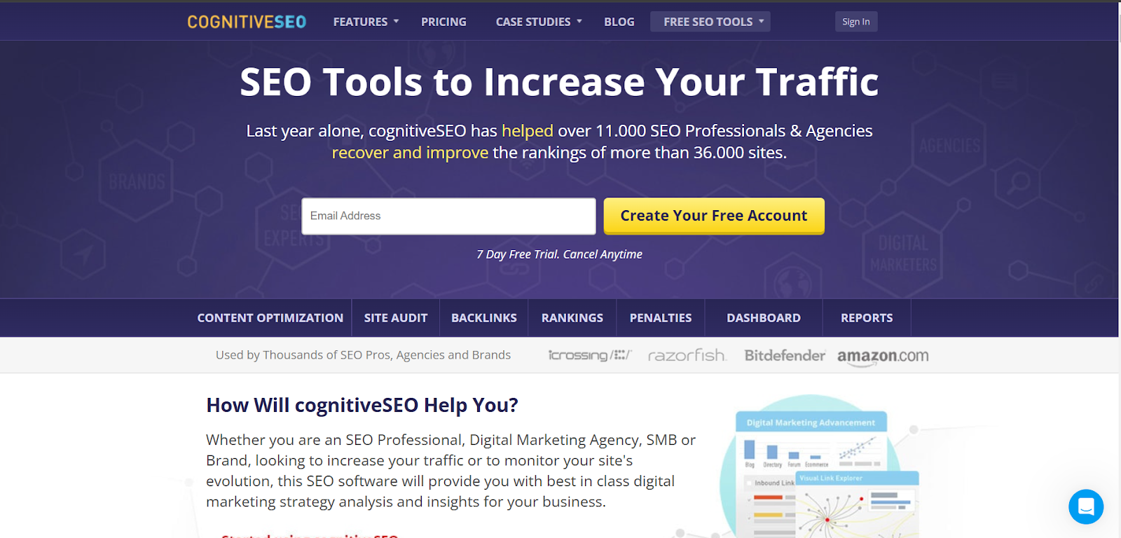 CognitiveSEO