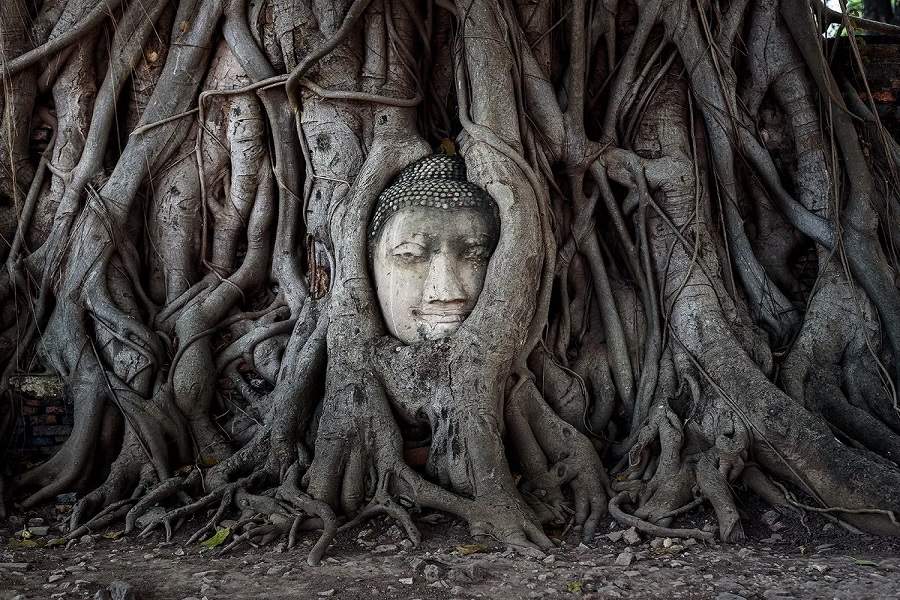 Wat Phra Mahathat Relics 