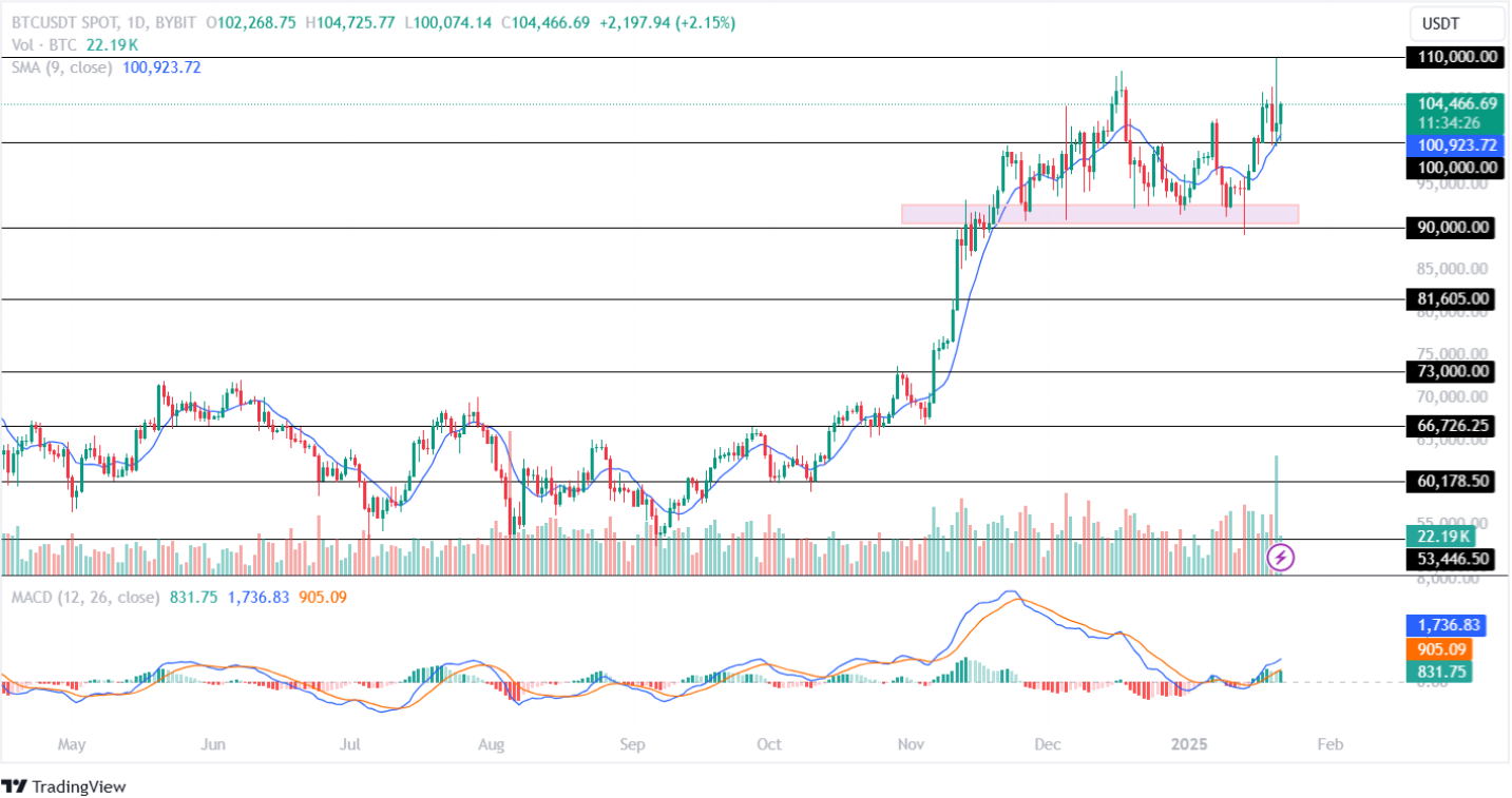 Bitcoin Price Analysis 21st January 2025