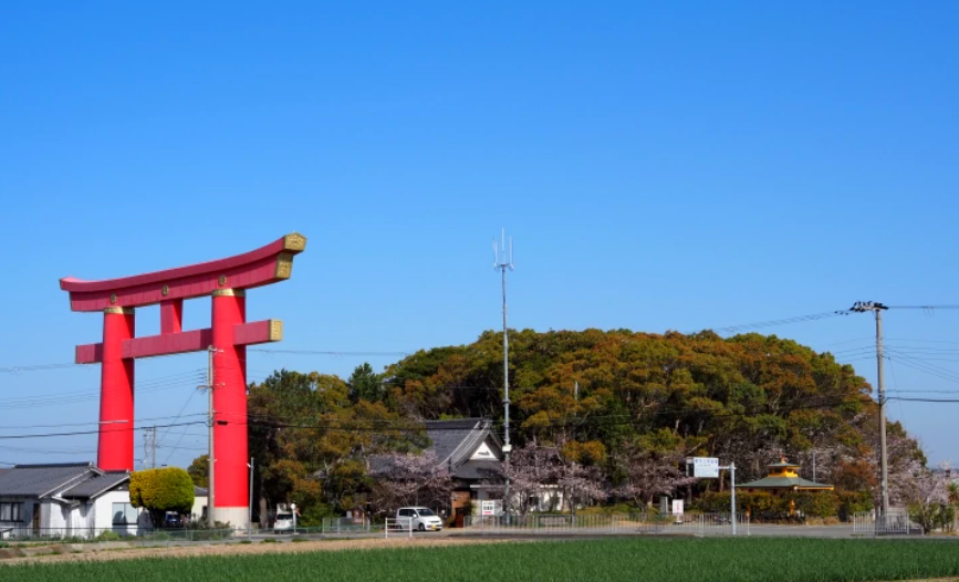 草, 屋外, フィールド, 大きい が含まれている画像

自動的に生成された説明