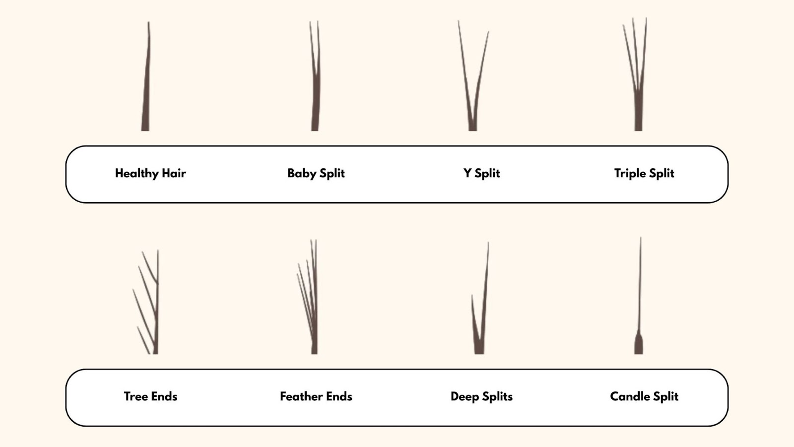 types of split ends