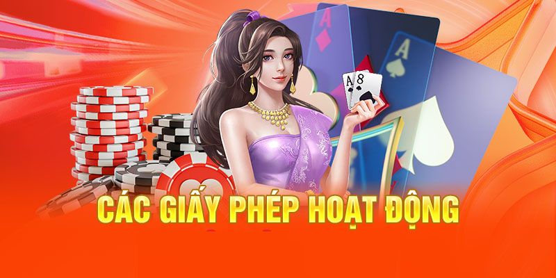 Một số giấy phép khác