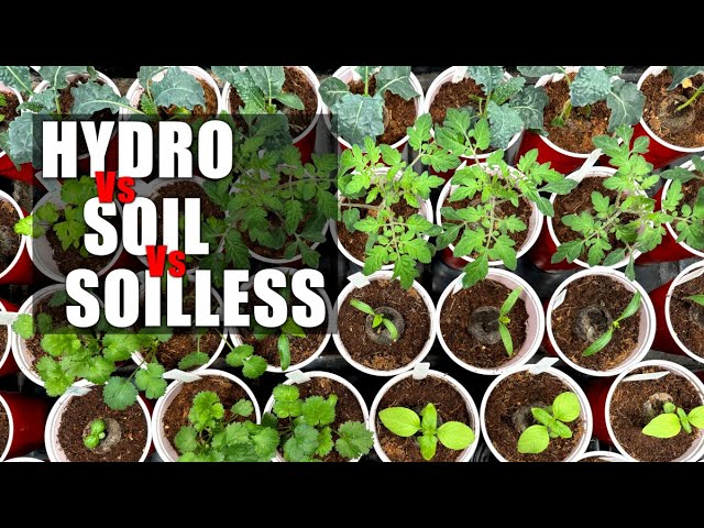 hydro, soil, soilless.