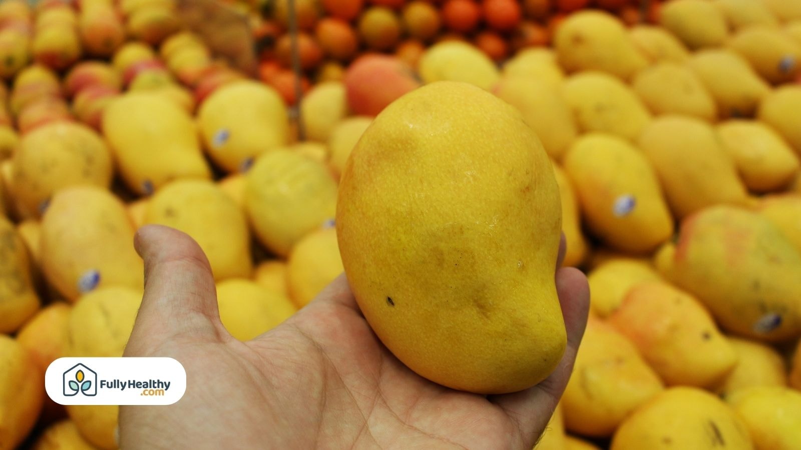 Hand holding ripe mango with mangoes displayed in background