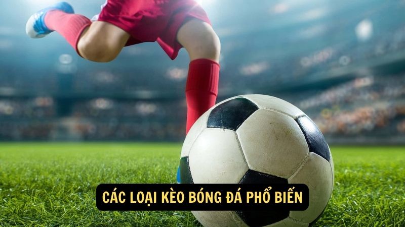 Các loại kèo bóng đá phổ biến