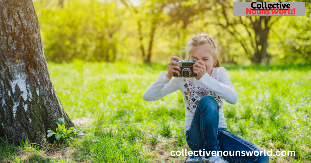 famous tree names for girls​