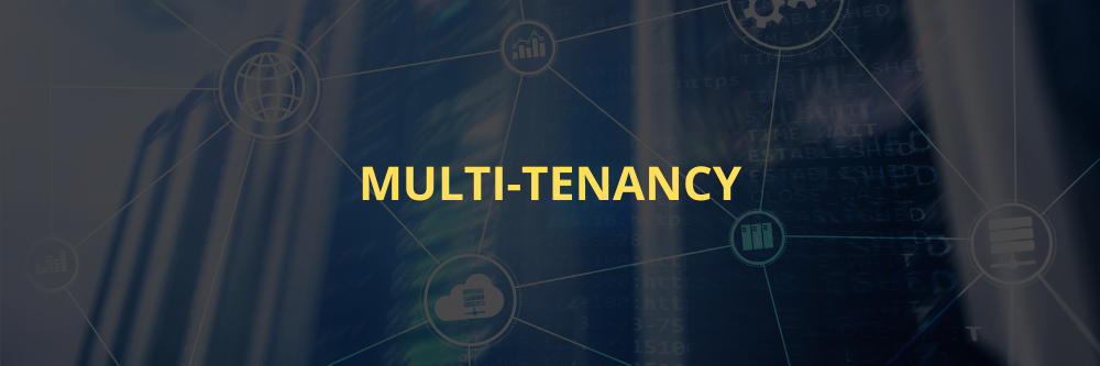 Multi-tenancy characteristic of cloud computing