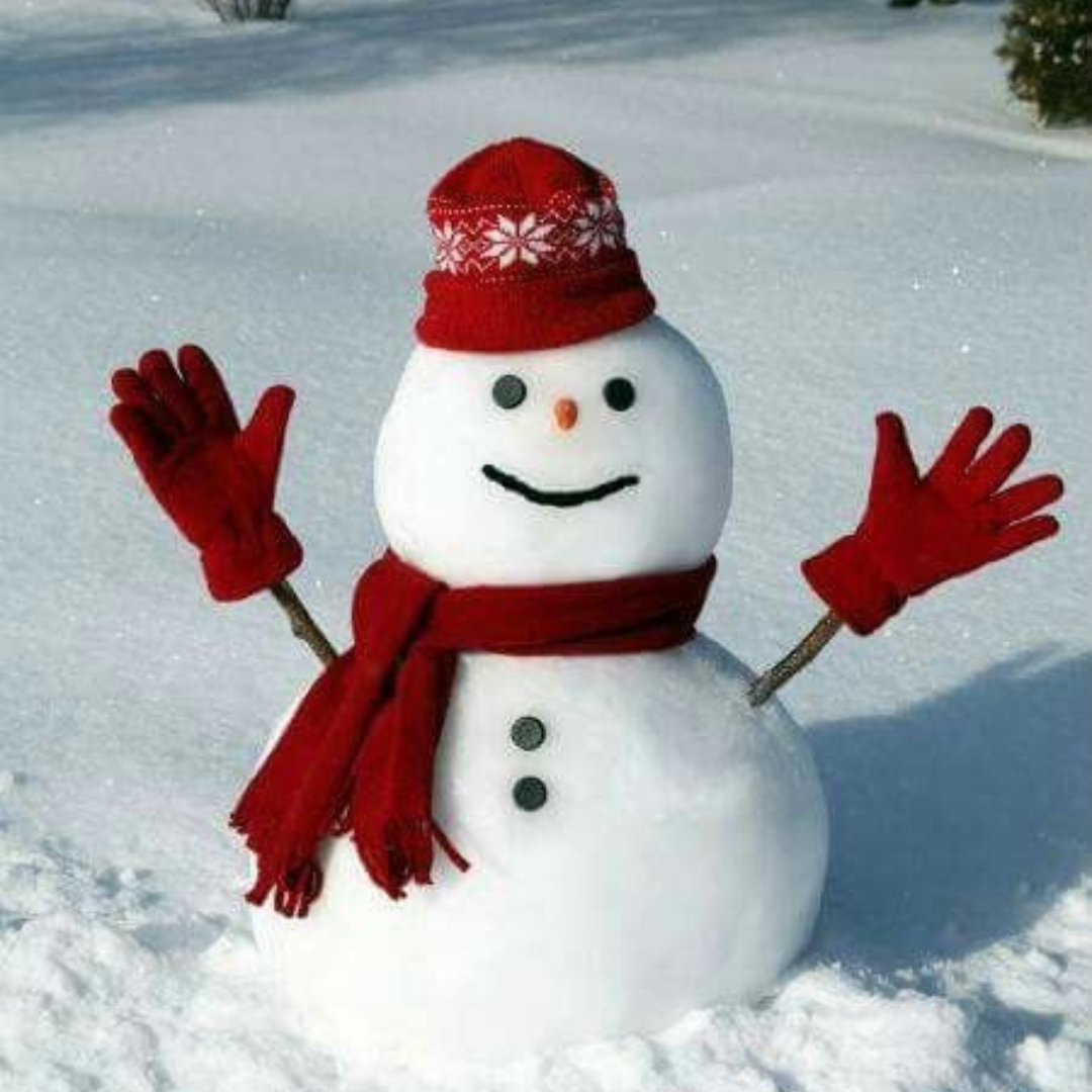 Top 5 Christmas Destinations to Visit in India in 2024 