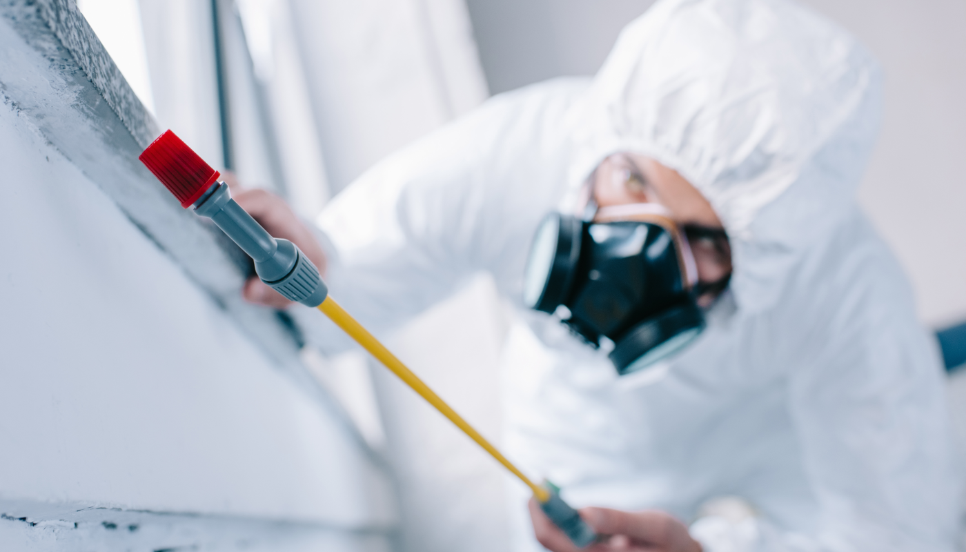 Effective Pest Management Strategies: A Comprehensive Guide for Homeowners
