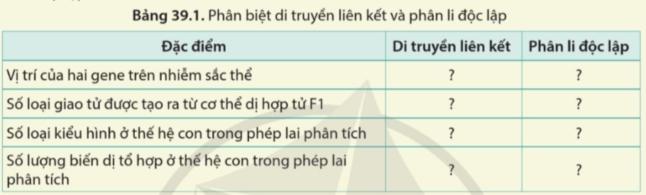 BÀI 39: DI TRUYỀN LIÊN KẾT VÀ CƠ CHẾ XÁC ĐỊNH GIỚI TÍNH