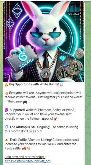 Whitebunny Listing