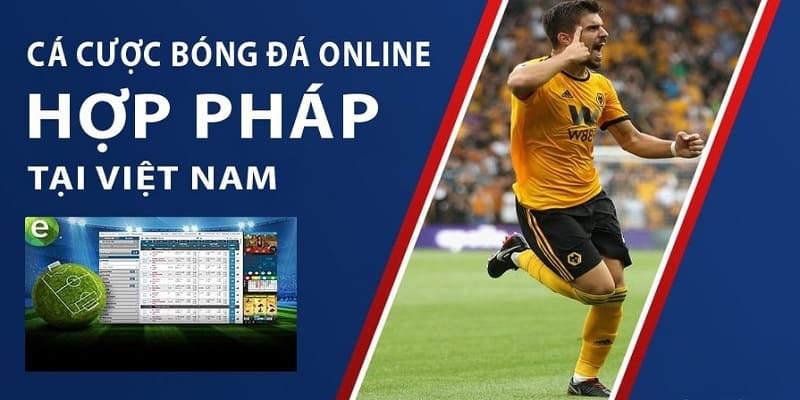 Chính sách chặt chẽ trong quá trình giao dịch tại trang web cá cược bóng đá hợp pháp