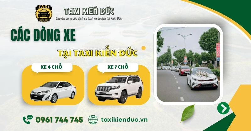 ​​​​Dịch vụ cho thuê xe tự lái 2