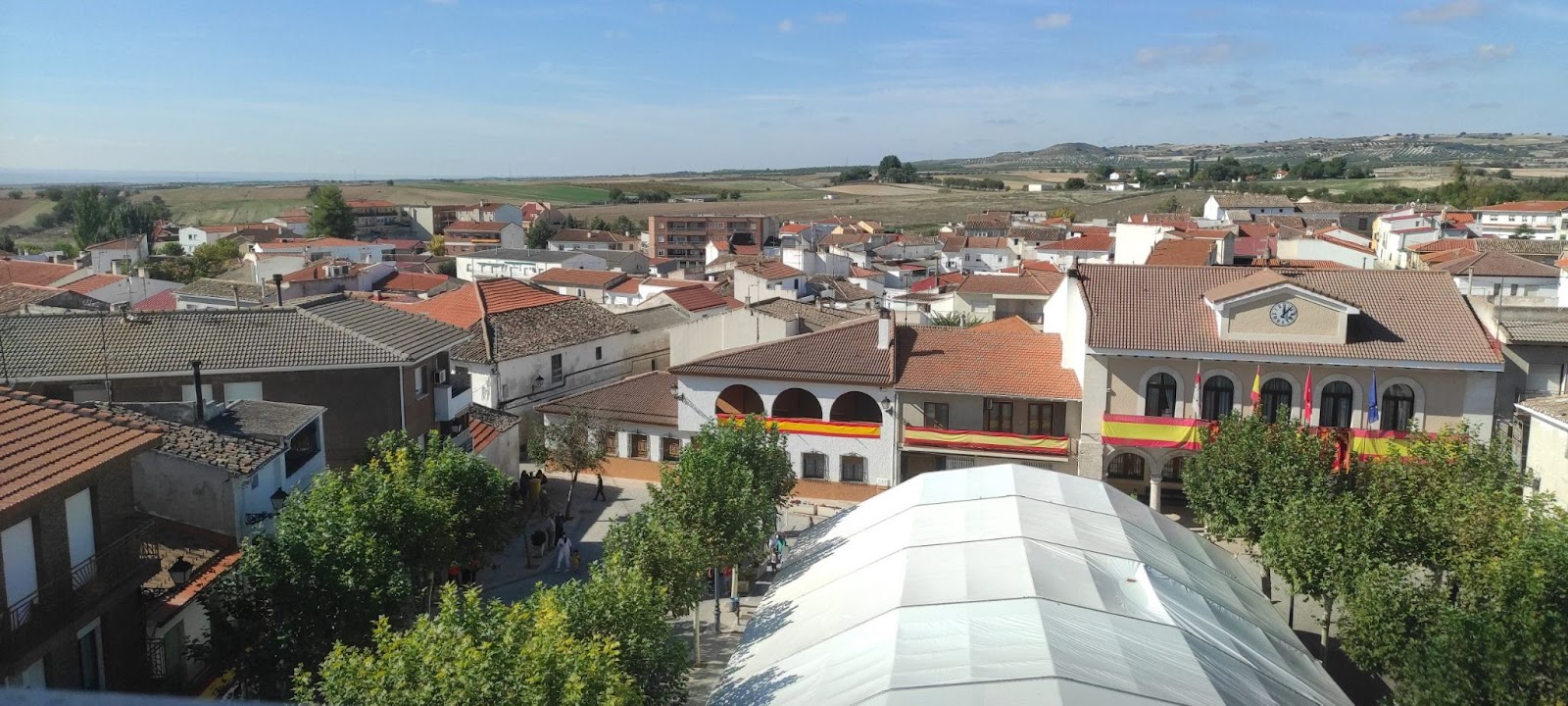 estremera vista pajaro