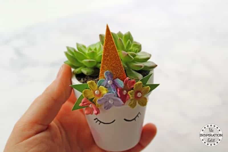DIY Unicorn Planter Idea.