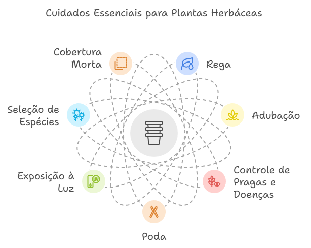 Cuidados Essenciais e Manutenção de plantas herbáceas