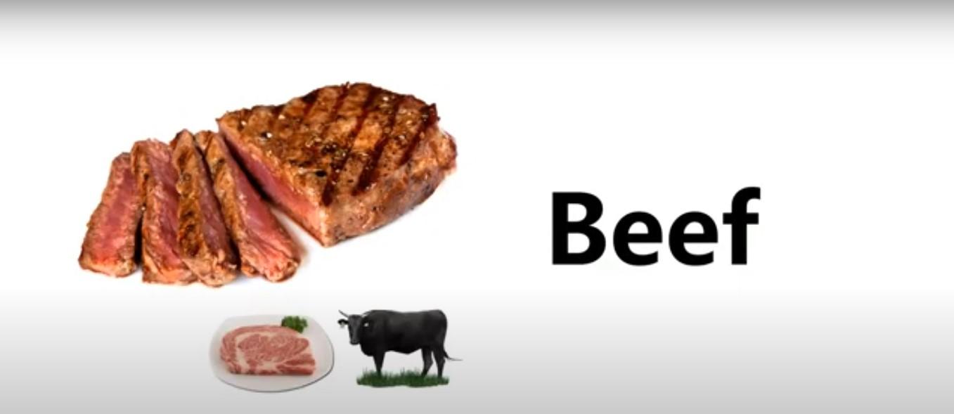 meat & poultry