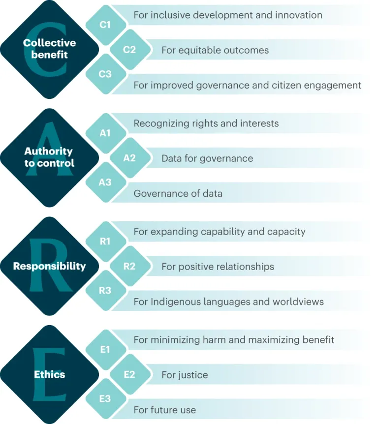 The image features the CARE Data Maturity Model, with the CARE acronym on the left, followed by three squares and principles to the right. For example, “C” is followed by “C1” which has the statement, “For inclusive development and innovation.”