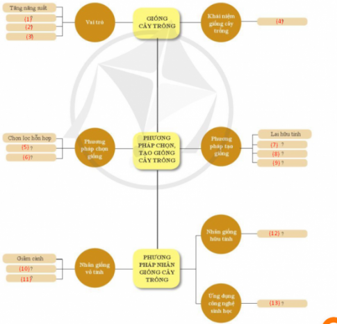 ÔN TẬP: CHỦ ĐỀ 4: GIỐNG CÂY TRỒNGHỆ THỐNG HÓA KIẾN THỨCCâu hỏi: Em hãy hoàn thành sơ đồ theo mẫu dưới đây:Bài soạn rút gọn:(1) Hạn chế sâu bệnh và yếu tố bất lợi của môi trường(2) Tăng được số vụ trồng trong một năm (3) Luân canh cây trồng, dễ cơ giới hóa.(4) Quần thể cây trồng có thể phân biệt được với quần thể cây trồng khác nhau thông qua sự biểu hiện ít nhất một đặc tính và di truyền được cho đời sau;...(5) Chọn lọc cá thể(6) Ứng dụng công nghệ sinh học(7) Đột biến gen(8) Đa hội thể(9) Chuyển gen(10) Chiết cành(11) Ghép cành(12) Phương pháp nhân giống bằng hạt, được tiến hành qua 5 bước: Chọn hạt giống gốc ; Gieo trồng, chăm sóc; Thu hoạch hạt; Chọn lọc, làm sạch, phơi khô hạt; Bảo quản.(13) Ứng dụng công nghệ sinh học trong nhân giống cây trồng.LUYỆN TẬP VÀ VẬN DỤNG