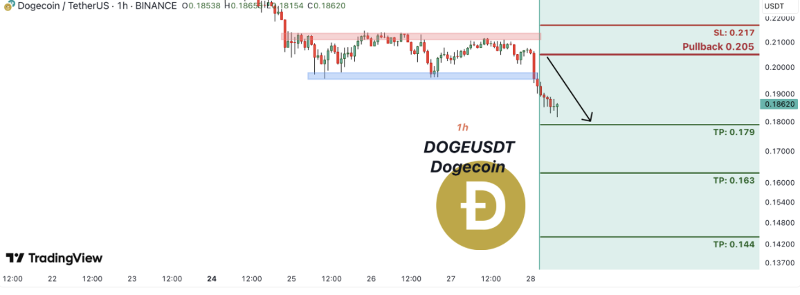 Dogecoin Analysts Flash Promote Indicators—Is a Larger Drop Coming? – BlockNews.com