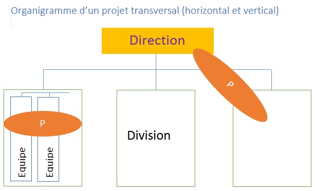 projet transversal.jpg