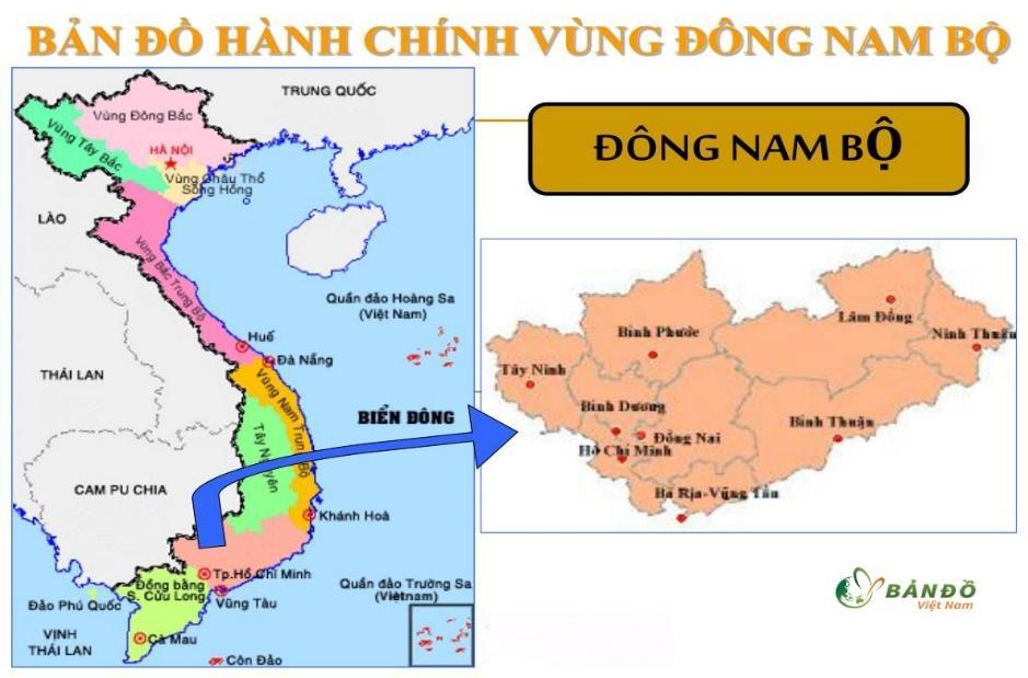 BÀI 19. VÙNG ĐÔNG NAM BỘ