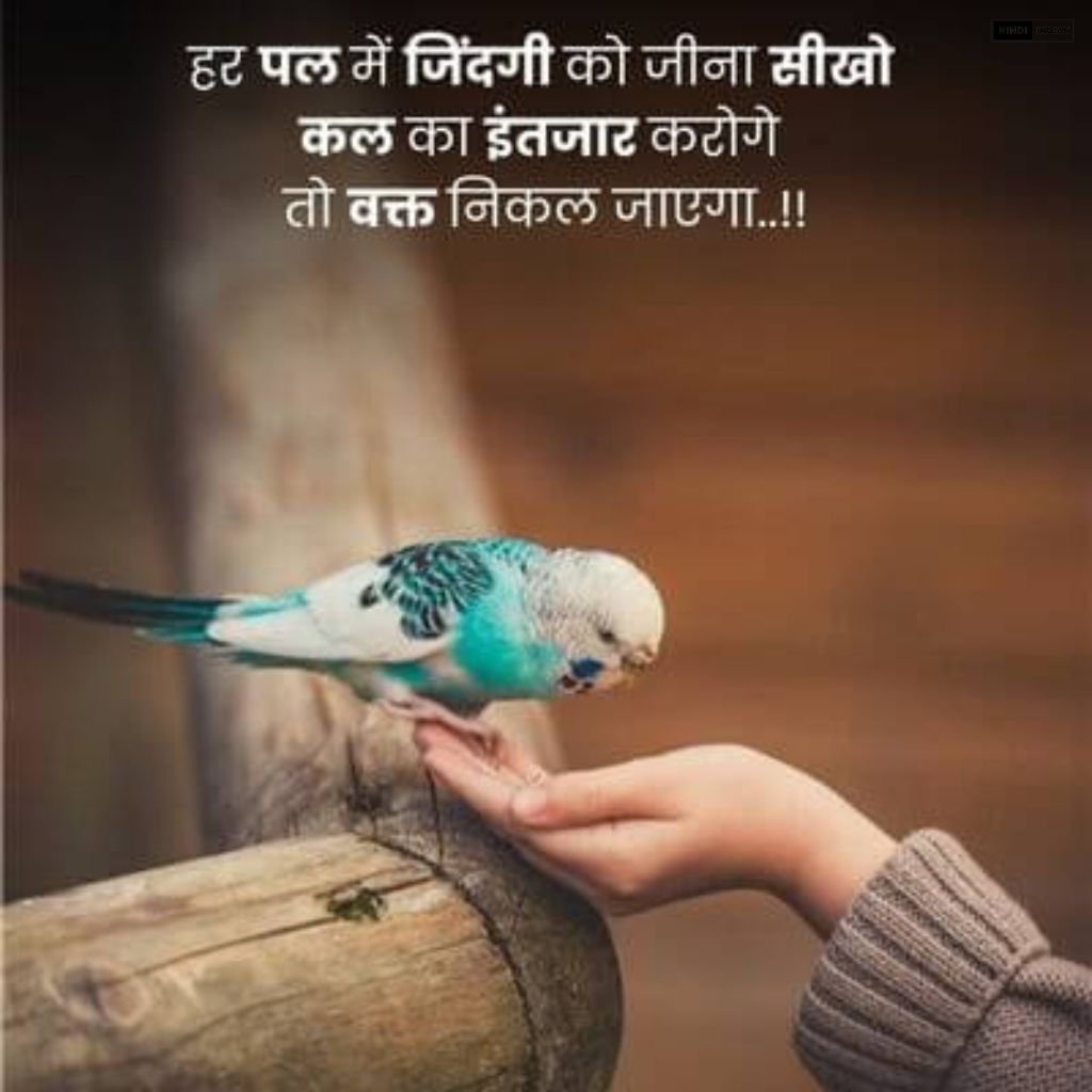 301+ Life Quotes in Hindi | NEW लाइफ कोट्स Photos {2024}