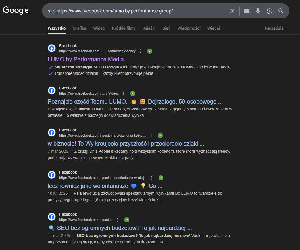 Wyniki wyszukiwania w Google dla profilu LUMO