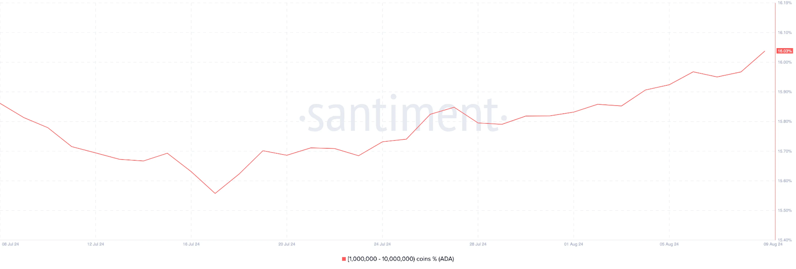 Ağustos 2024'ün İlk Haftasında Kripto Balinalarının En İyi Altcoin Seçimleri