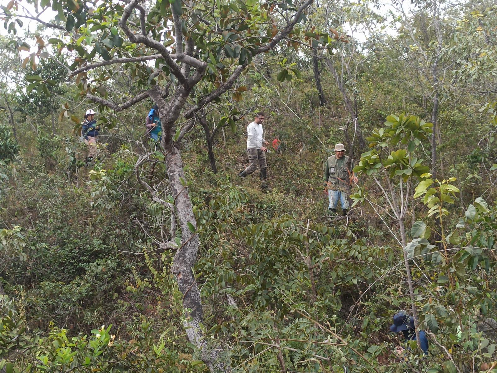 Pessoas na floresta

O conteúdo gerado por IA pode estar incorreto.