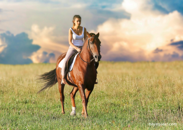 How Old Should a Horse Be Before You Ride It?