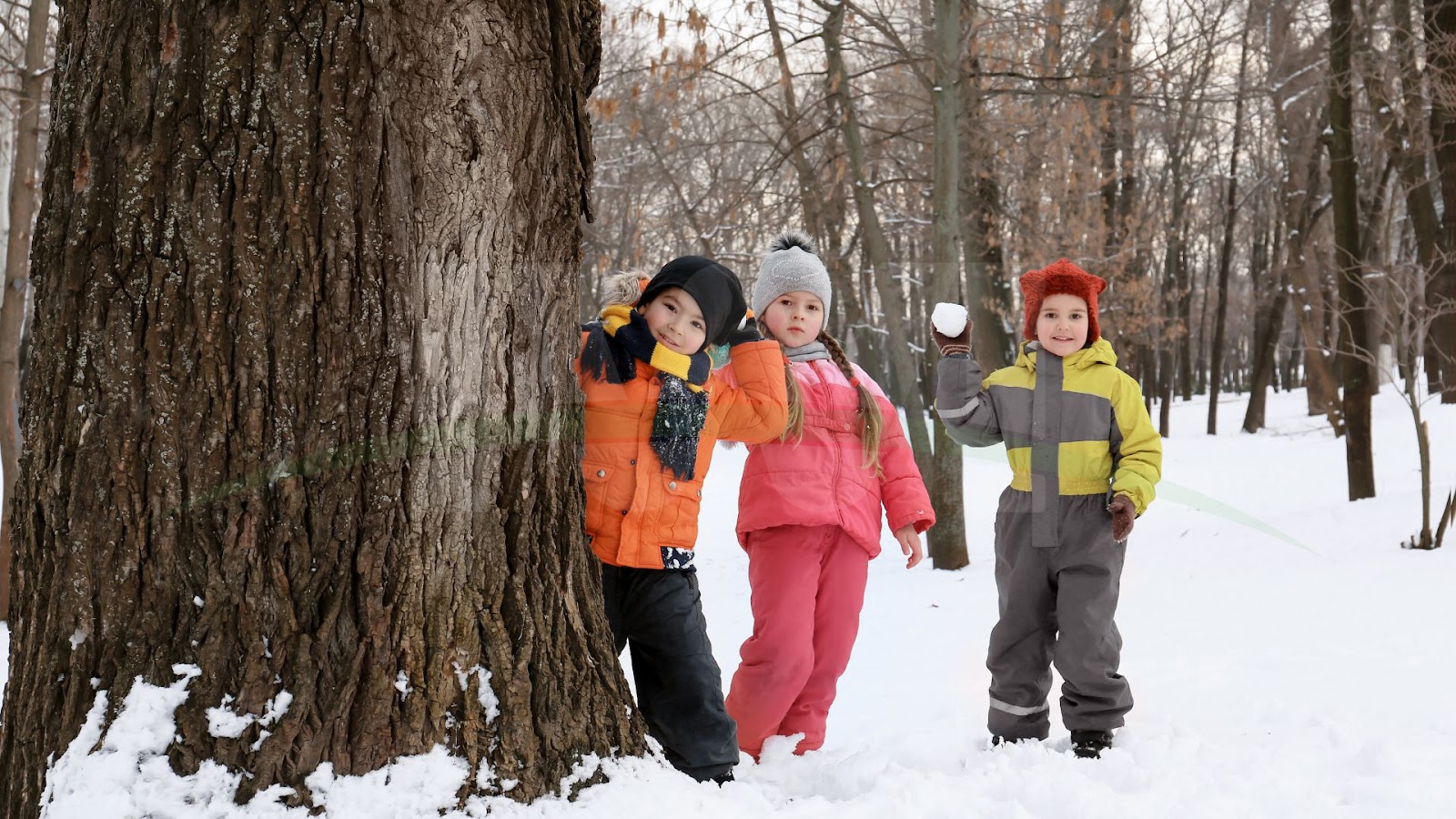 Outdoor Winter Family Photos Images 4