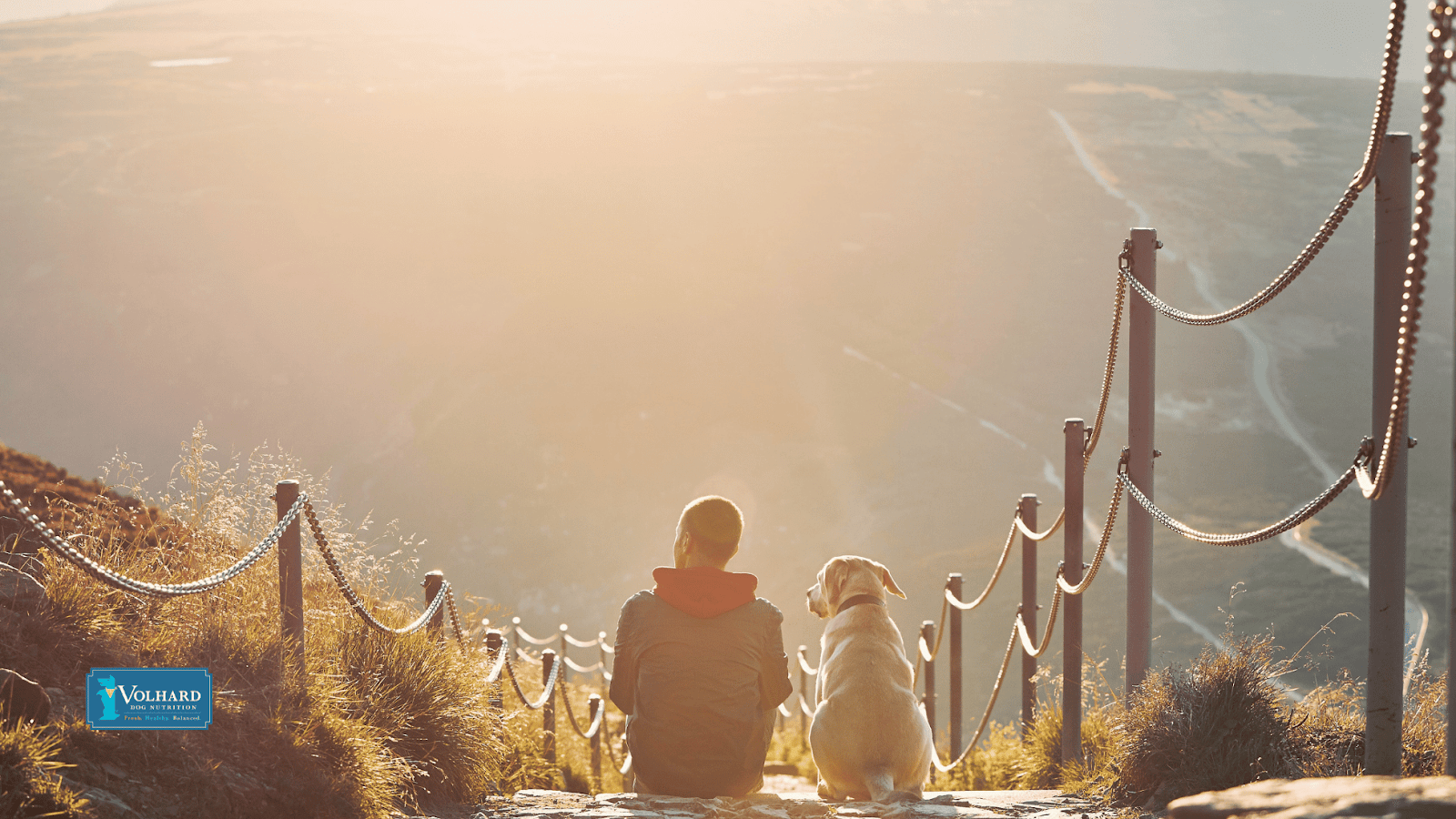 man hiking with dog