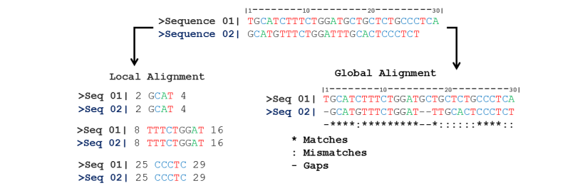 Sequence Alignment