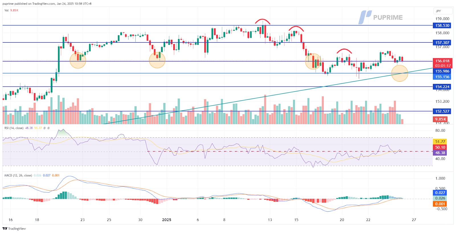 usd/jpy 24012025