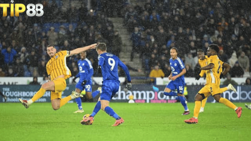 Lịch sử đối đầu Brighton vs Leicester City