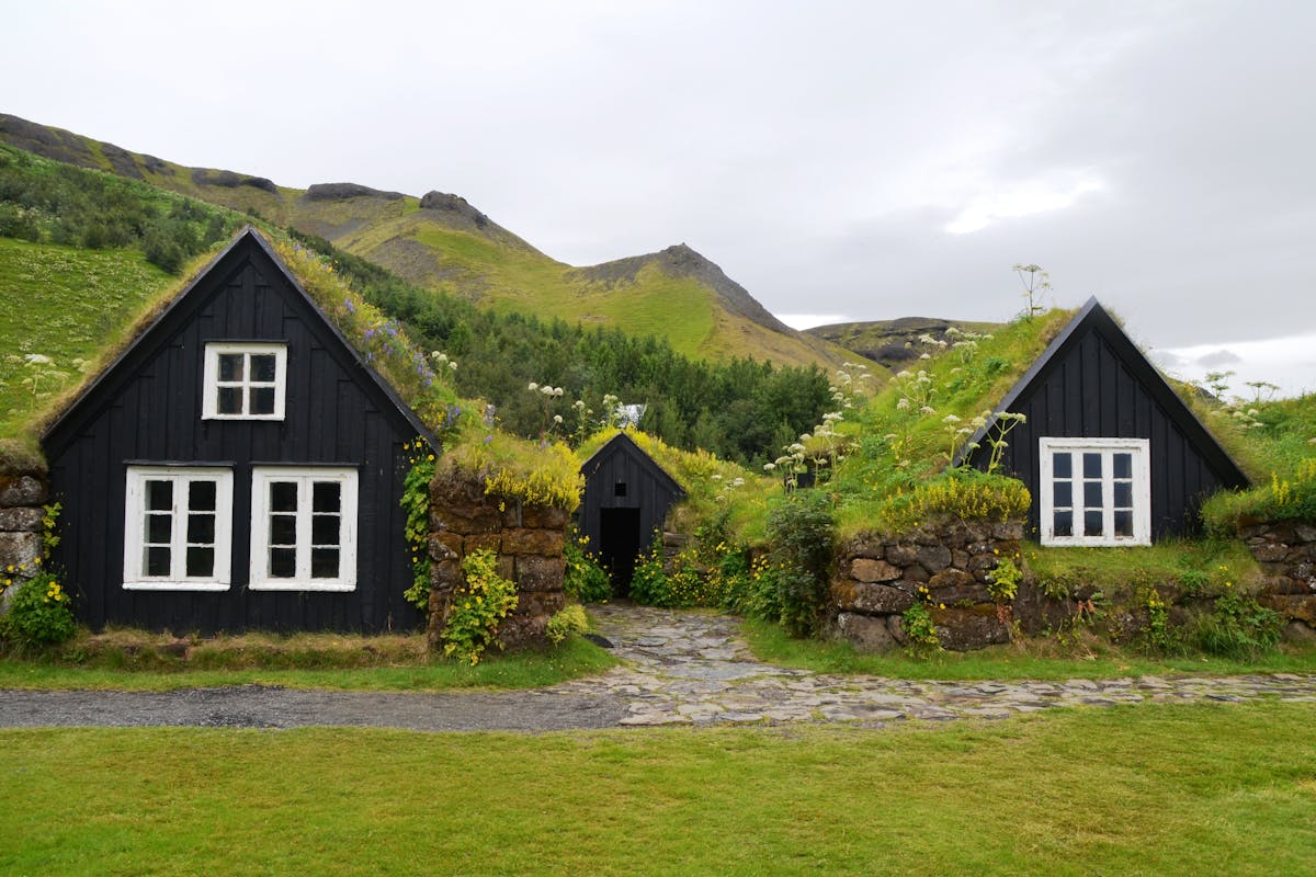 2 houses with green roofs