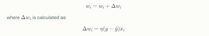 Basics of the Perceptron