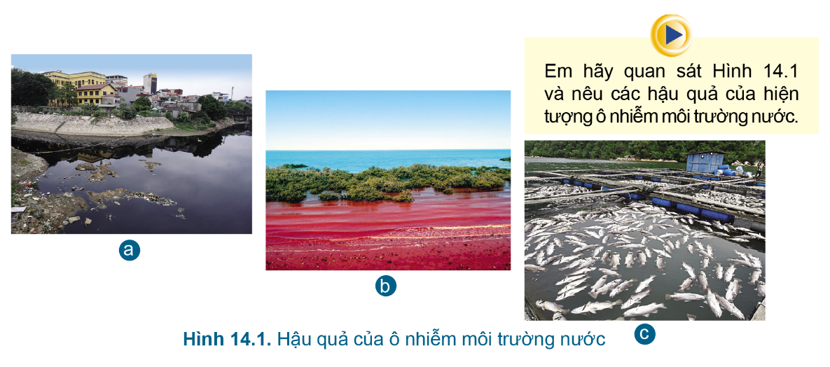 BÀI 14.BẢO VỆ MÔI TRƯỜNG NUÔI VÀ NGUỒN LỢI THỦY SẢMỞ ĐẦU Câu hỏi: Em hãy quan sát Hình 14.1 và nêu hậu quả của hiện tượng ô nhiễm môi trường nước. Đáp án chuẩn:Ảnh hưởng đến nguồn nước ngầm, nước trong sinh hoạt, chăn nuôi1. BẢO VỆ MÔI TRƯỜNG NUÔI THỦY SẢNCâu hỏi :1. Vì sao cần bảo vệ môi trường nuôi thủy sản?2. Em hãy nêu các biện pháp bảo vệ môi trường nuôi thủy sảnĐáp án chuẩn:1. Ô nhiễm nước ảnh hưởng xấu đến đời sống của sinh vật.2. Xử lí nước thải và kiểm soát môi trường nuôi thủy sản.Luyện tập : Em hãy phân loại các biện pháp xử lí môi trường nước theo mẫu Bảng 14.1Đáp án chuẩn:Biện phápPhương phápCơ họcSinh họcHóa họcSử dụng ao lắngx  Sử dụng chế phẩm sinh học x Lọc sinh học x Sử dụng thực vật thủy sinh x Sử dụng chlorine  x2. BẢO VỆ NGUỒN LỢI THỦY SẢN